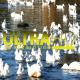 Ducks in River 2 - VideoHive Item for Sale
