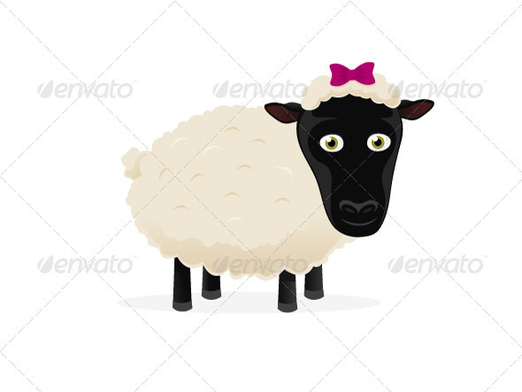 Cartoon Sheep