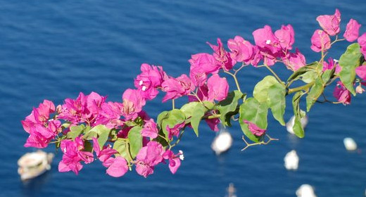 Favorites recommended