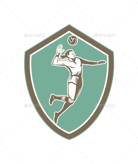 Volleyball Player Spiking Ball Shield - Sports/Activity Conceptual