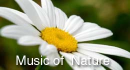 Music of  Nature