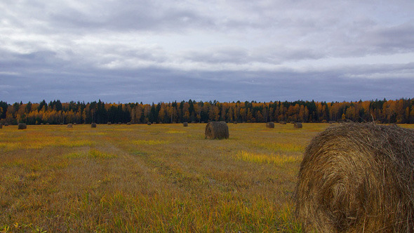 Rural landscape