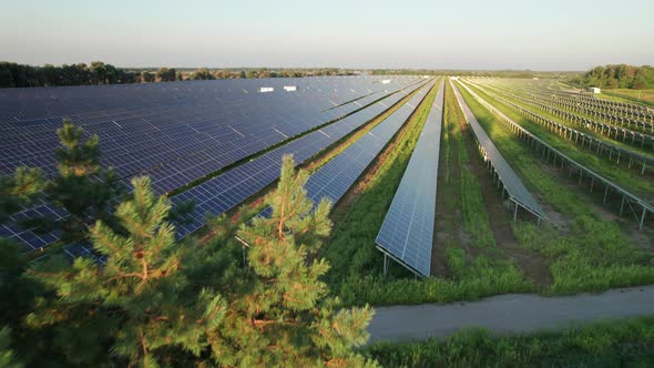 Aerial View of Solar Farm on the Green Field at Sunset Time Solar Panels in Row alt
