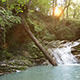 Waterfall in the Forest - VideoHive Item for Sale