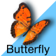 Butterfly - VideoHive Item for Sale