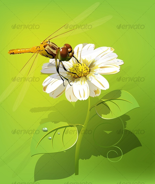 Dragonfly on flower