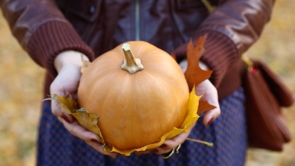 Woman Keeping Autumn Pumpkin