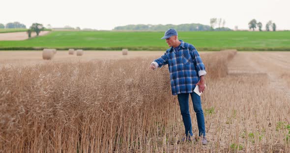 Farmer with Digital Tablet Analyzing Crops at Farm alt