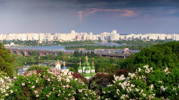Blooming lilacs in the botanical garden. Kiev alt