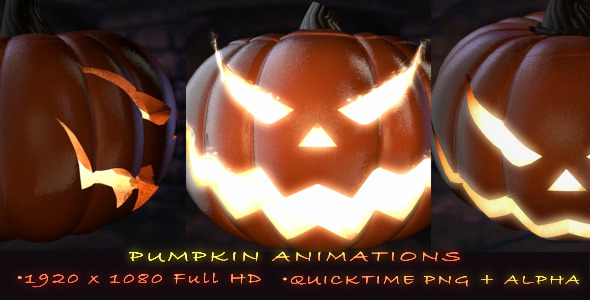 Pumpkin Animations