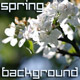 Springtime Springtime - VideoHive Item for Sale