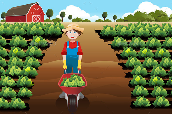 Boy working in a Vegetable Farm - People Characters