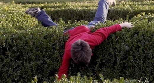 Amazing and greatfull creative themes