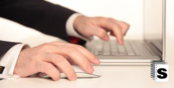 Businessman Using Laptop alt