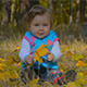 Happy Child Plays With Fall Leaves - VideoHive Item for Sale