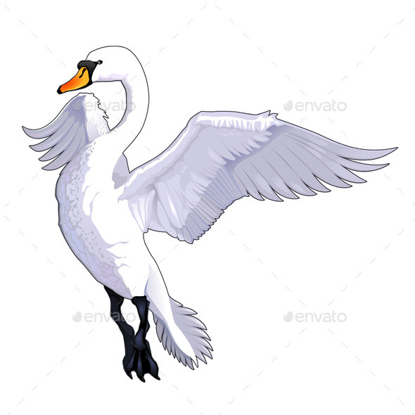 Flying Swan - Animals Characters