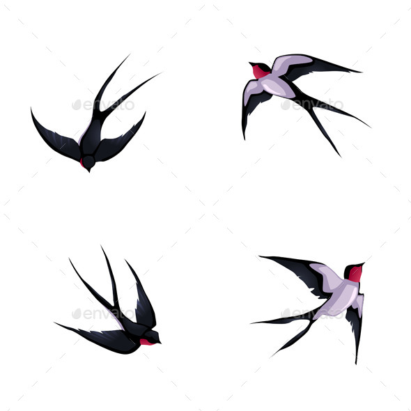 Four Swallows - Animals Characters