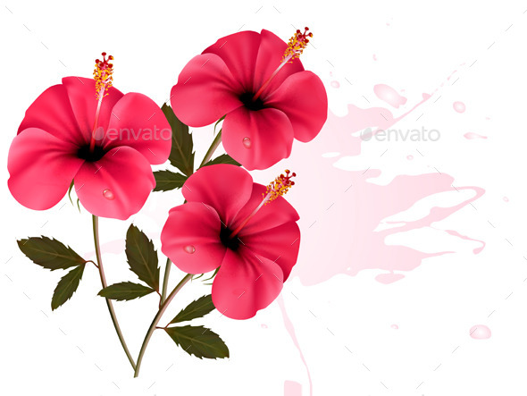 Three Pink Flowers Background - Flowers & Plants Nature