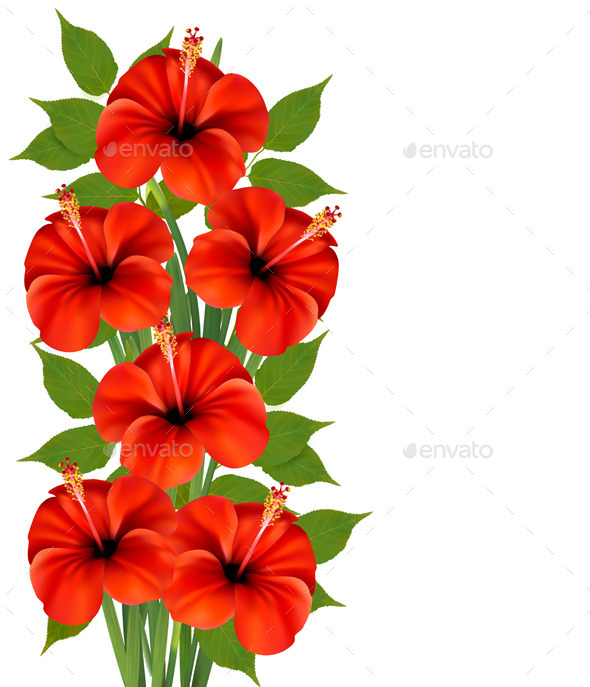 Background with Red Flowers - Flowers & Plants Nature