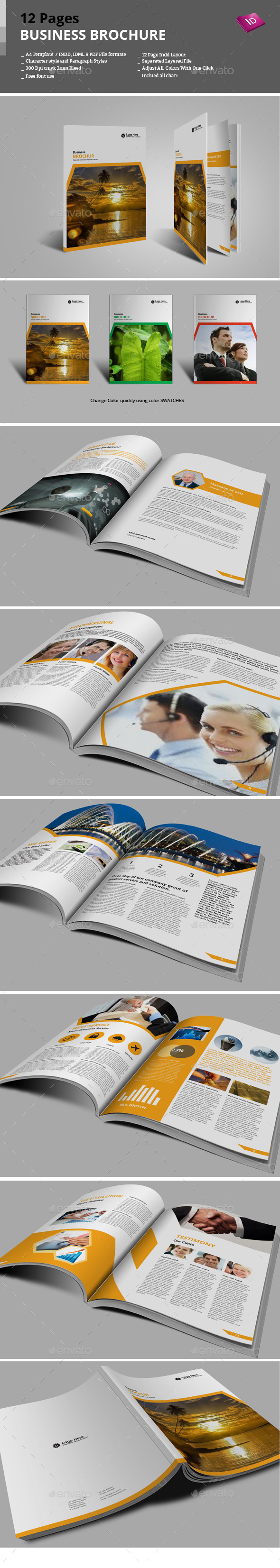 12 Pages Business Brochure - Corporate Brochures