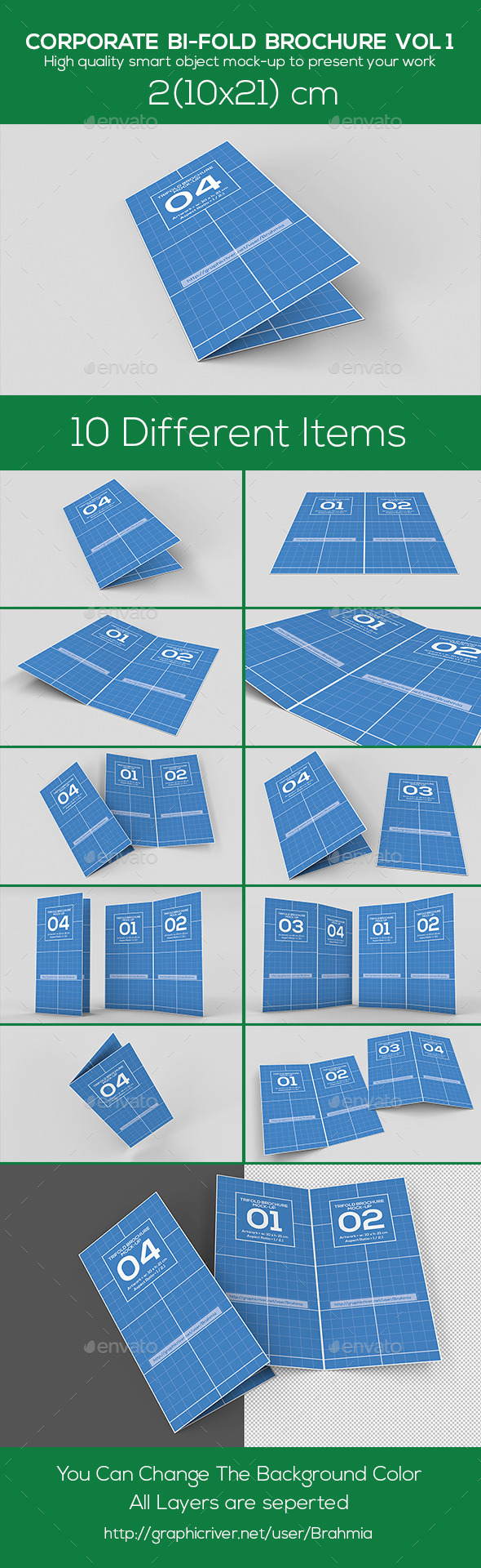 Corporate BI-FOLD Brochure - Brochures Print