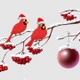 Rowan Branch And Birds - VideoHive Item for Sale