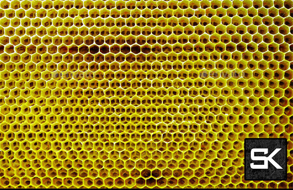 Honeycomb - Miscellaneous Textures