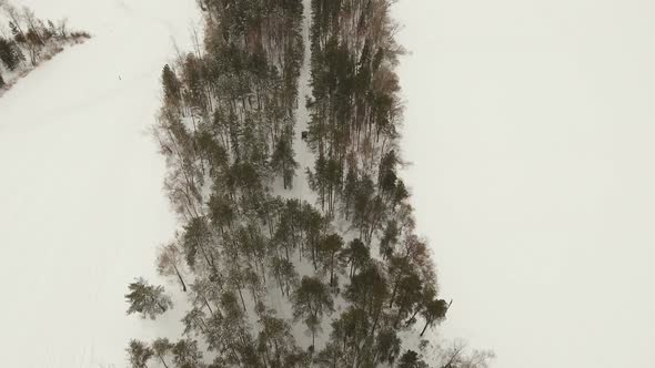 Winter Off-road Racing alt