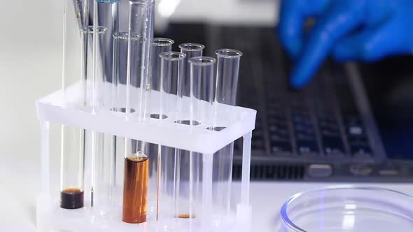 Scientist in laboratory sits workplace and analysis data into laptop. alt