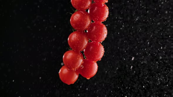 Juicy Ripe Bunch of Red Tomatoes Sprayed with Water alt