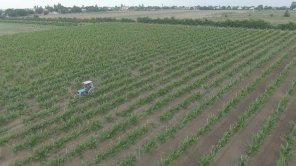 Tractor In The Vineyard 3