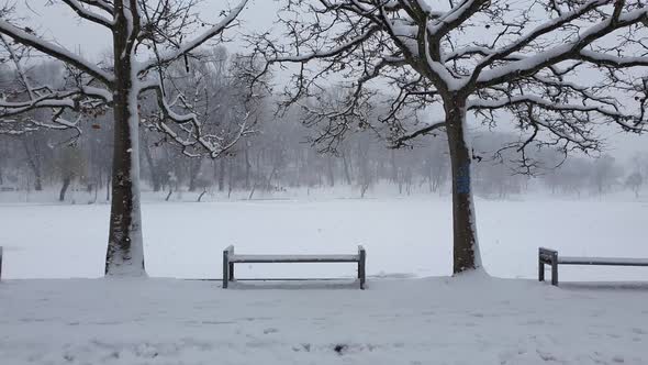 Silent and peaceful view, frosty day