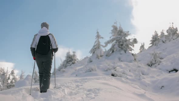 A Young Woman is Slowly Climbing to the Top of a Snowcapped Mountain alt