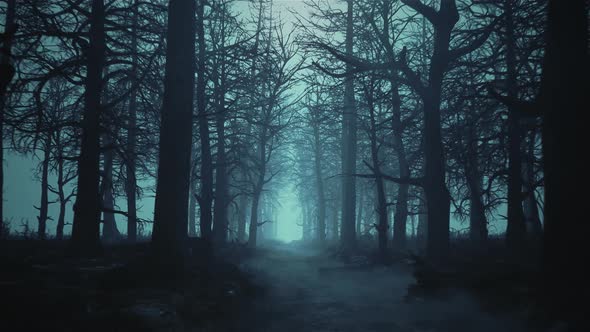 Looped Animation of Flying Through a Scary Forest alt