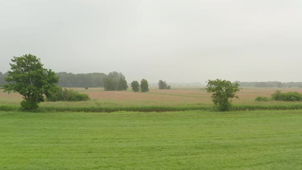 Flight Over Rich Green Field with Trees in Germany on Foggy Overcast Day alt