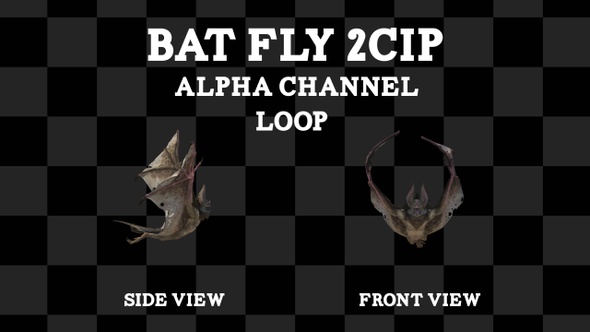 Bat Fly 2Cip Loop Alpha