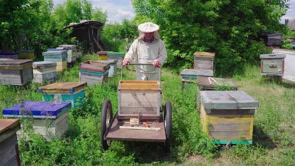 Beekeeper Rolls a Cart in an Apiary in a Village