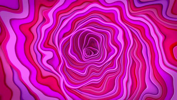 Colorful Footage With Tunnel With Rose Pattern