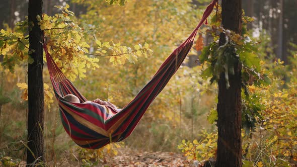 Little Boy and Girl Happy Lying in Hammock in Autumn Forest