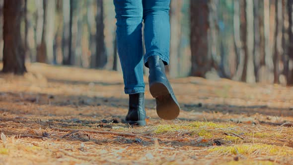 Modern Stylish Girl Walking. Female Walking And Relaxing In Park. Autumn Hiking On Forest Trail. alt