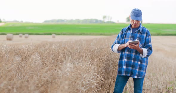 Agriculture Farmer Examining Field Modern Farming alt