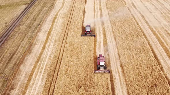 Grain Harvesters Threshes Ears of Ripe Wheat alt