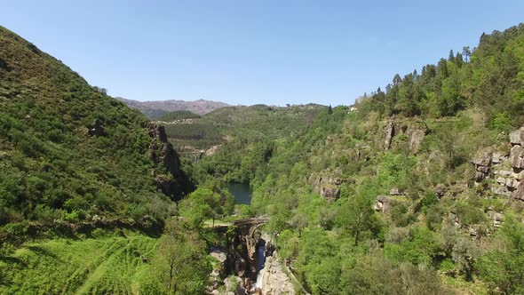 Wonderful Nature alt