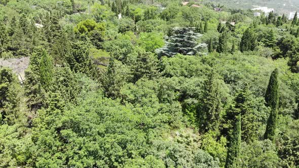 Foros Park  a Monument of Landscape Architecture