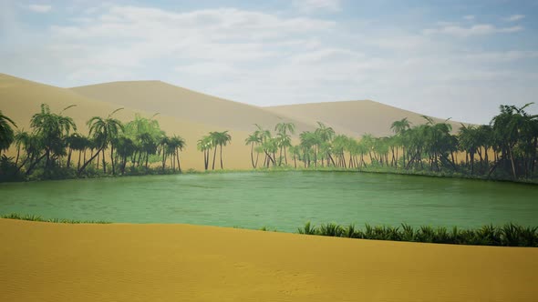 Oasis in Desert alt