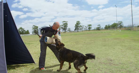 Trainer training a shepherd dog in the field 4k alt
