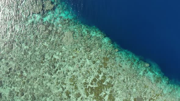 Aerial: woman snorkeling on Hatta Island coral reef tropical caribbean sea turqu alt