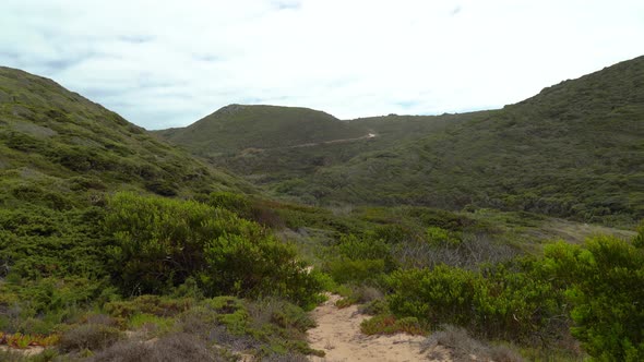 Hill Covered with Greenery in Gruta da Adraga in Portugal