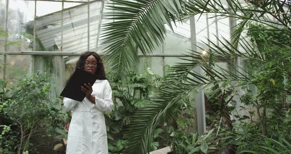 Zoom Out View of a Black African Female Farmer in White Coat Holding a Tablet alt