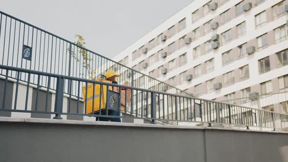 Female Courier in Medical Mask and Gloves Bringing Packet with Fresh Food alt